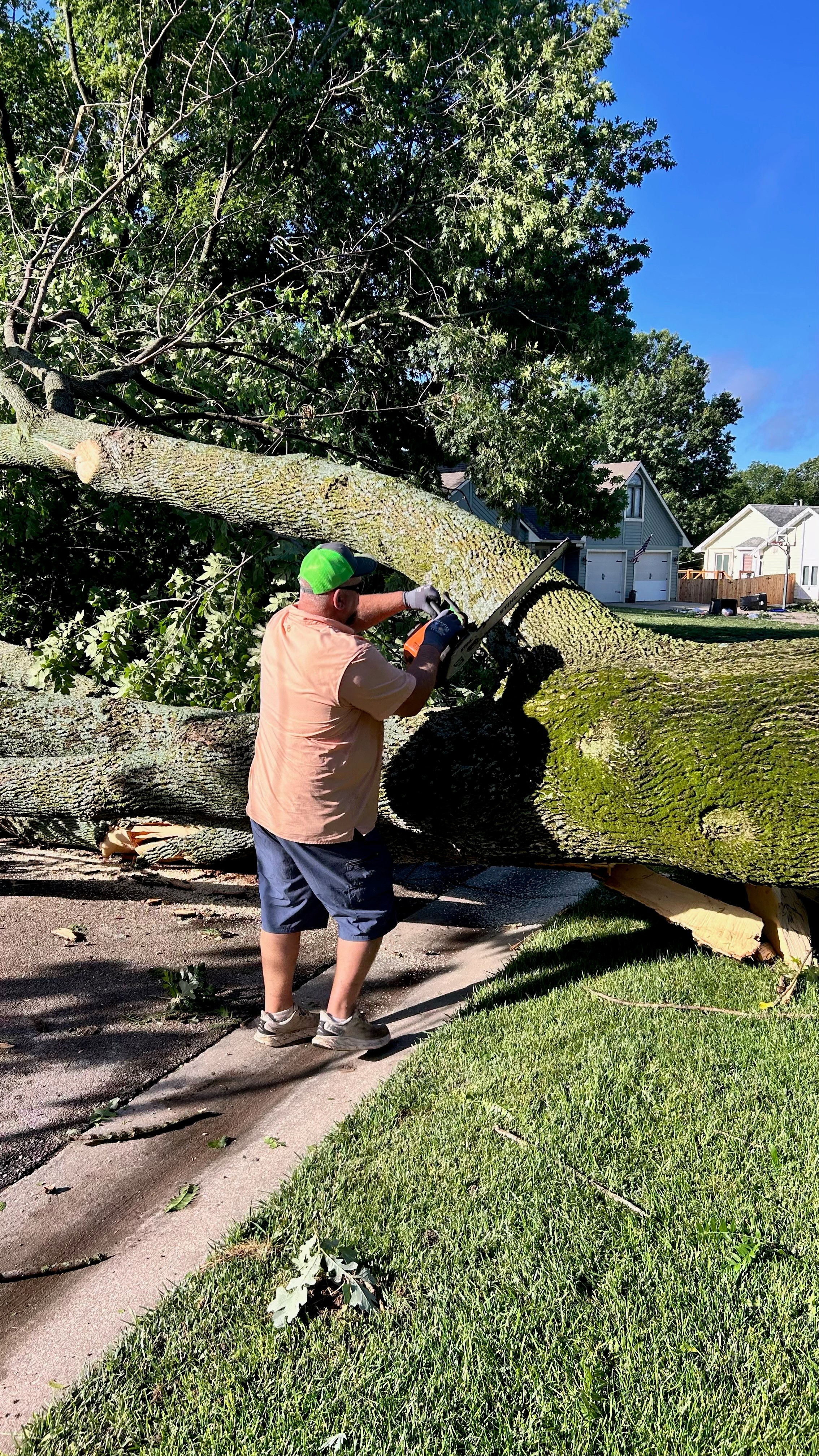 storm damage 3.jpg