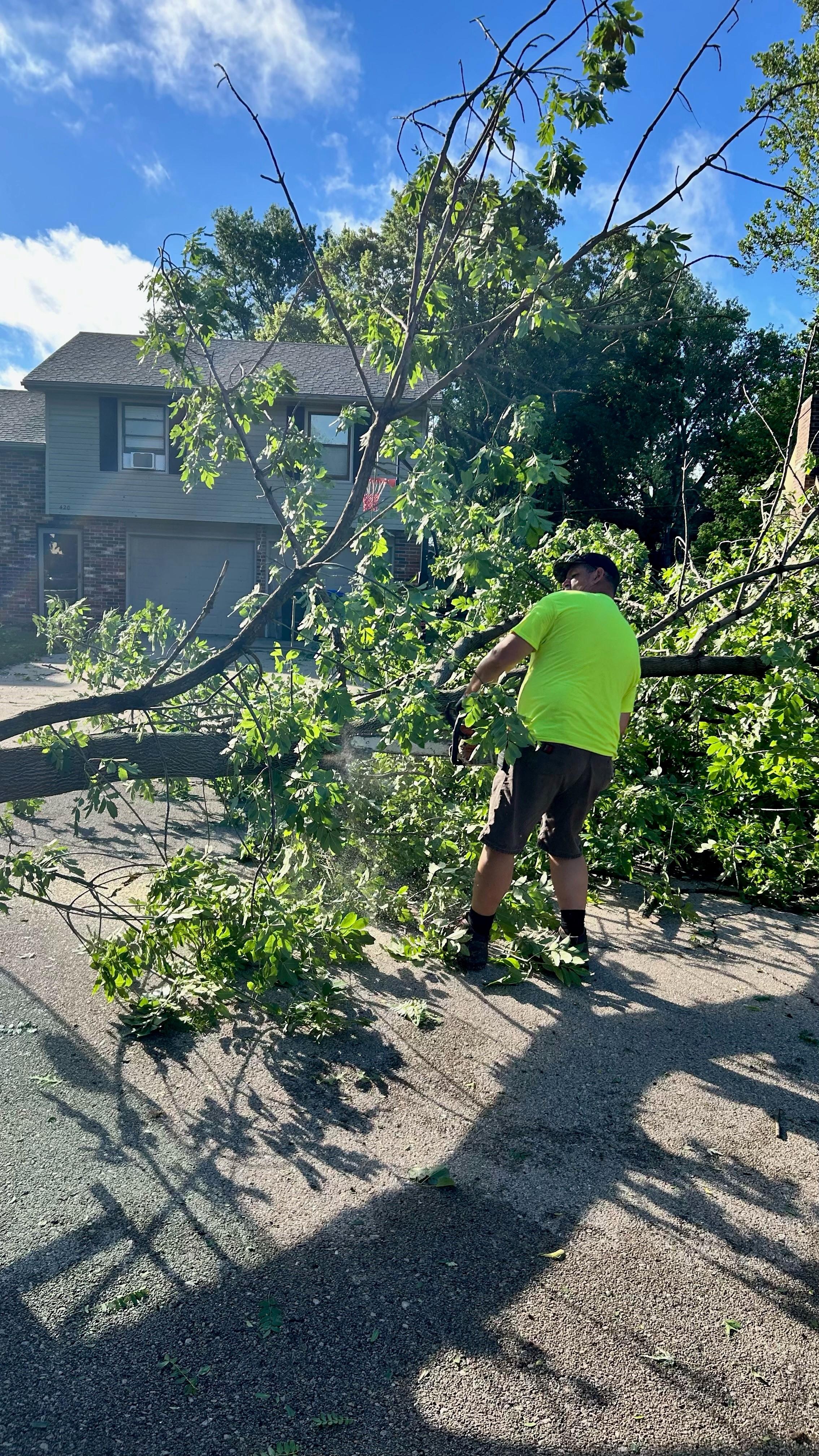 storm damage 4.jpg
