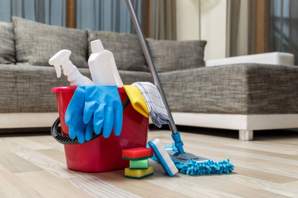 Business Directory Business Directory Light Local House Cleaning